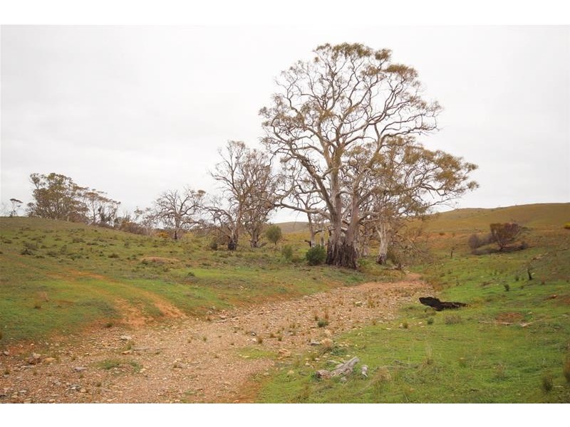 Section 445 Three Chain Road, Cambrai SA 5353