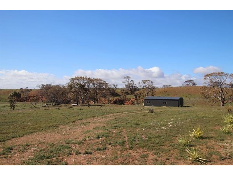Section 445 Three Chain Road, Cambrai SA 5353