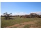 Section 445 Three Chain Road, Cambrai SA 5353