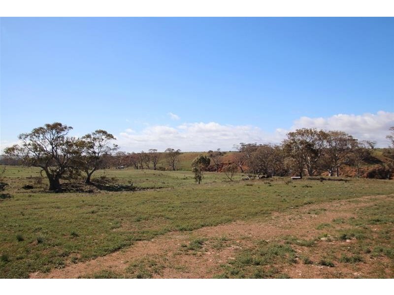 Section 445 Three Chain Road, Cambrai SA 5353