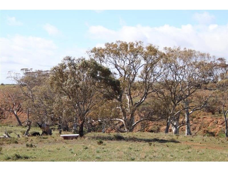 Section 445 Three Chain Road, Cambrai SA 5353