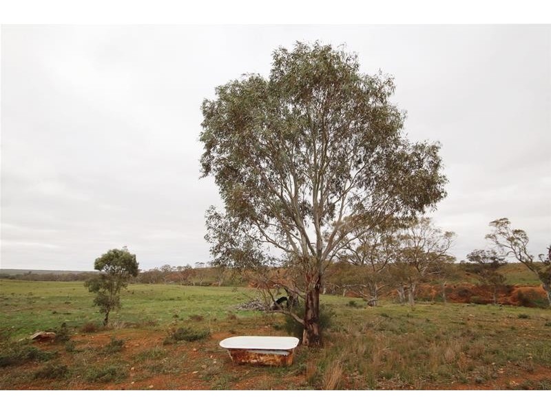 Section 445 Three Chain Road, Cambrai SA 5353