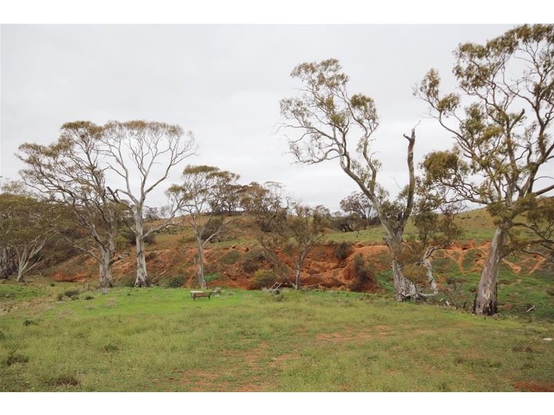 Section 445 Three Chain Road, Cambrai SA 5353