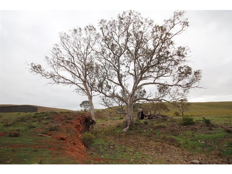 Section 445 Three Chain Road, Cambrai SA 5353