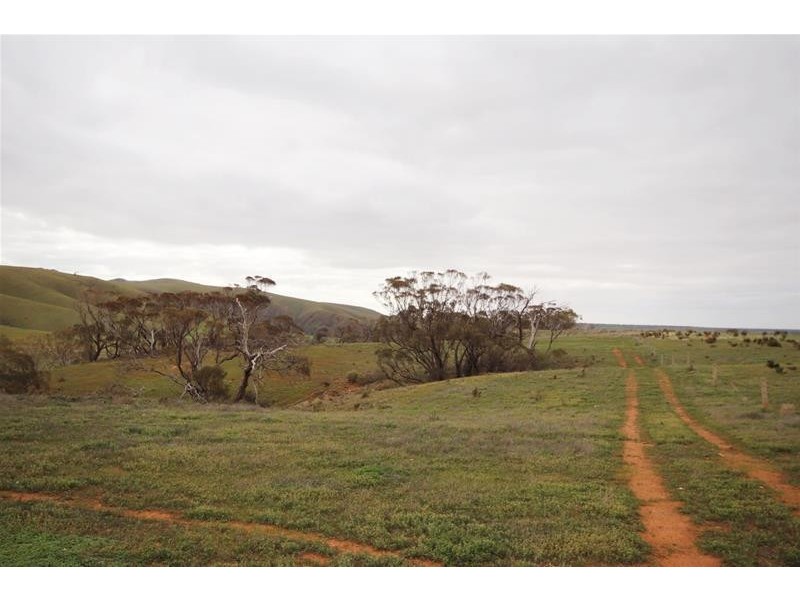Section 445 Three Chain Road, Cambrai SA 5353