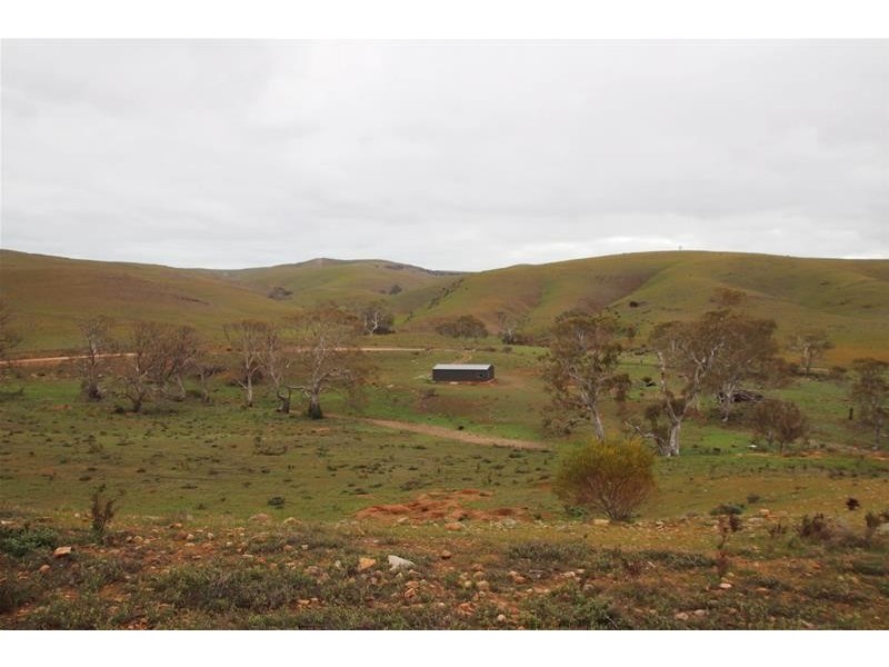 Section 445 Three Chain Road, Cambrai SA 5353