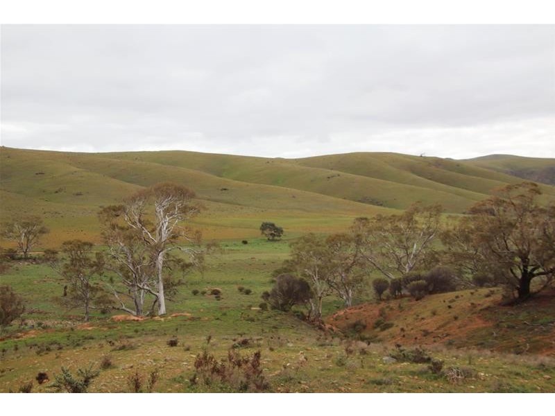 Section 445 Three Chain Road, Cambrai SA 5353