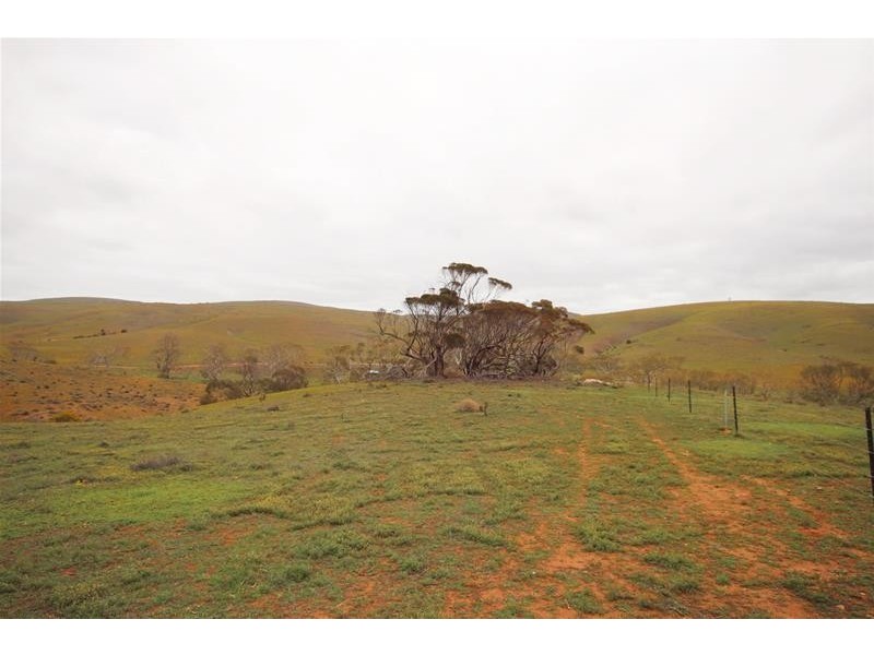 Section 445 Three Chain Road, Cambrai SA 5353