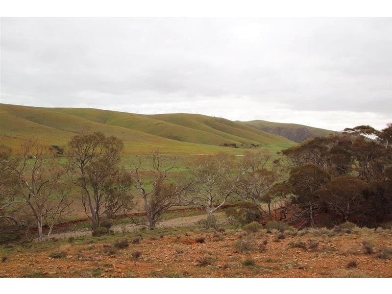 Section 445 Three Chain Road, Cambrai SA 5353