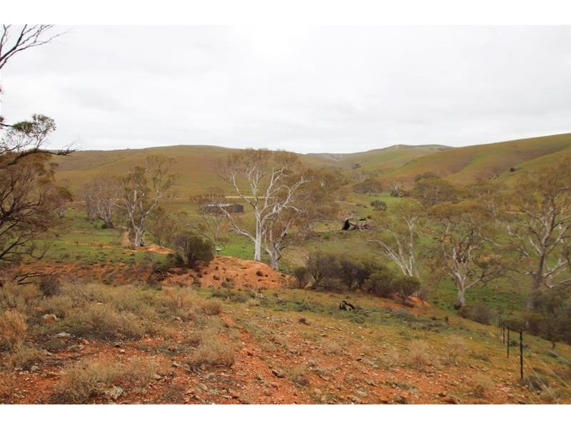 Section 445 Three Chain Road, Cambrai SA 5353