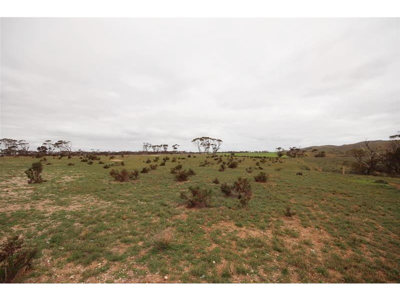 Section 445 Three Chain Road, Cambrai SA 5353