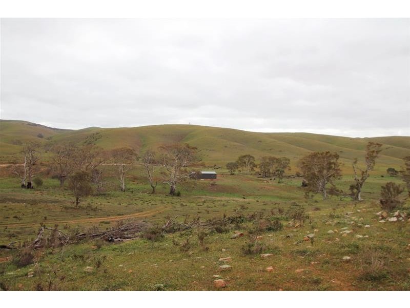 Section 445 Three Chain Road, Cambrai SA 5353