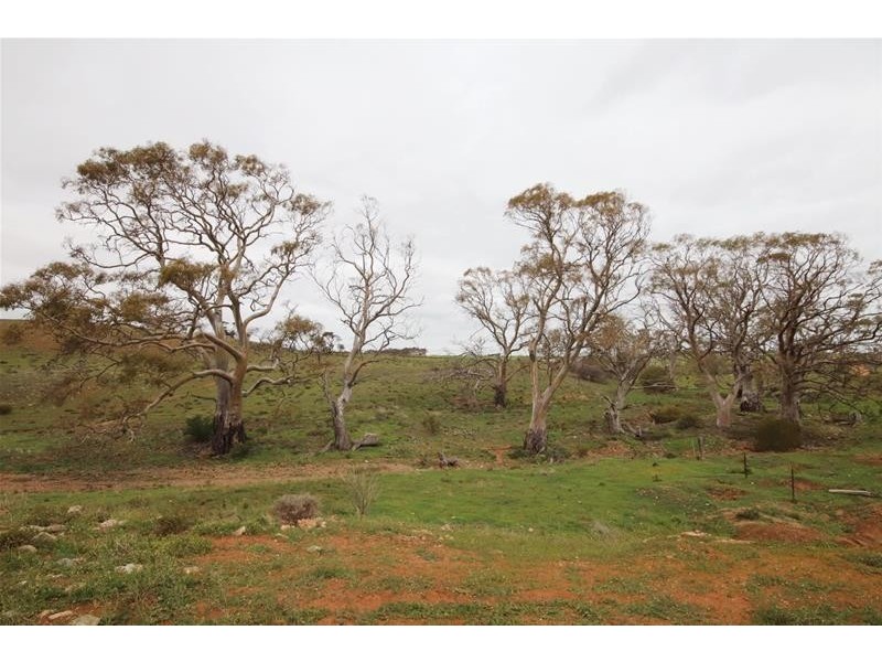 Section 445 Three Chain Road, Cambrai SA 5353
