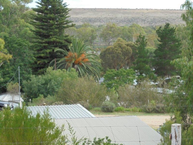 Site 314 Younghusband Caravan Park, Younghusband SA 5238