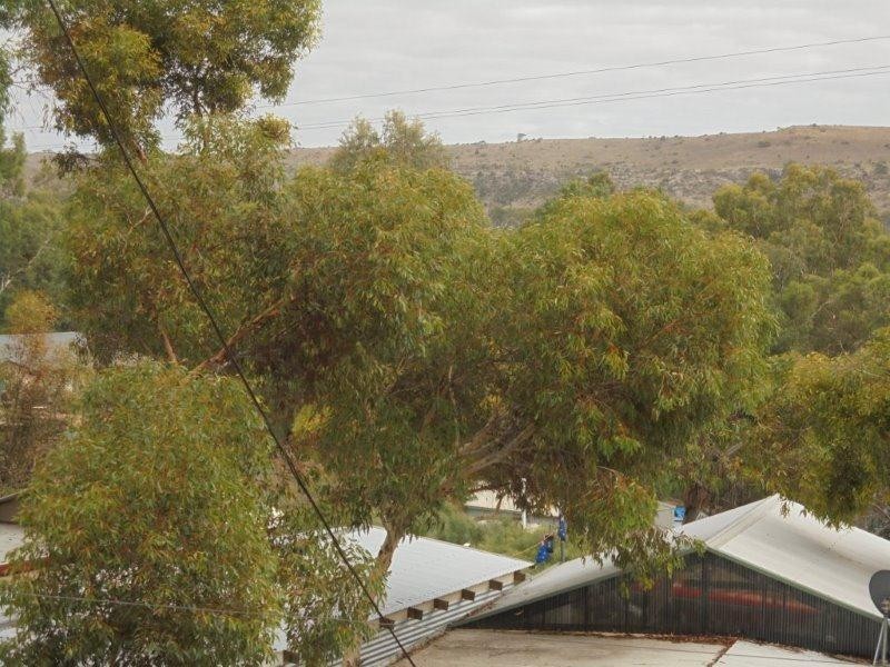 Site 314 Younghusband Caravan Park, Younghusband SA 5238