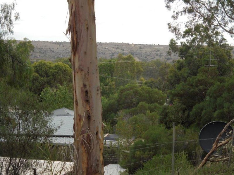 Site 314 Younghusband Caravan Park, Younghusband SA 5238