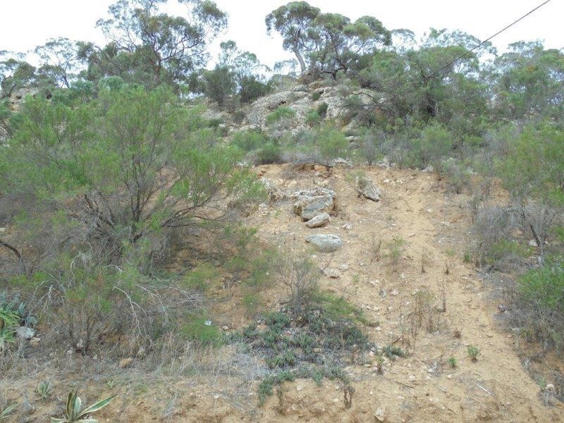 Site 314 Younghusband Caravan Park, Younghusband SA 5238
