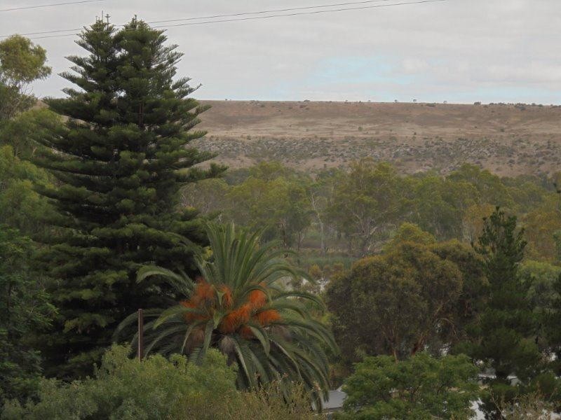 Site 314 Younghusband Caravan Park, Younghusband SA 5238