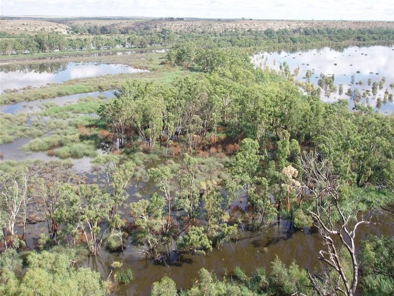 2 Hunter Road, Walker Flat SA 5238