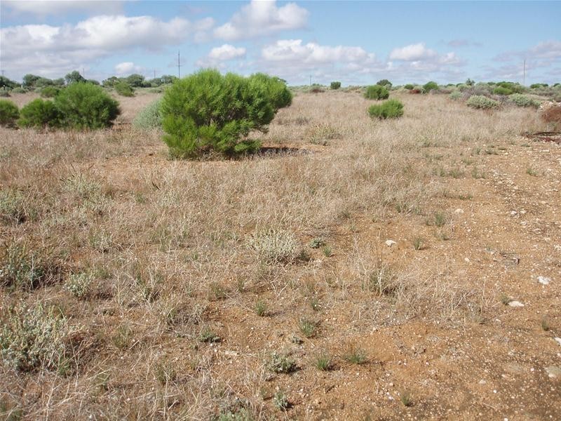 2 Hunter Road, Walker Flat SA 5238