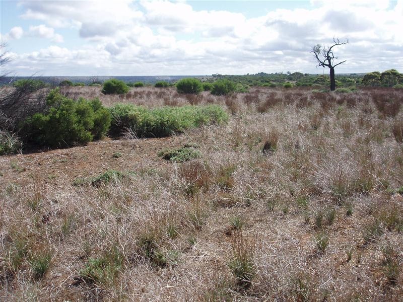 2 Hunter Road, Walker Flat SA 5238