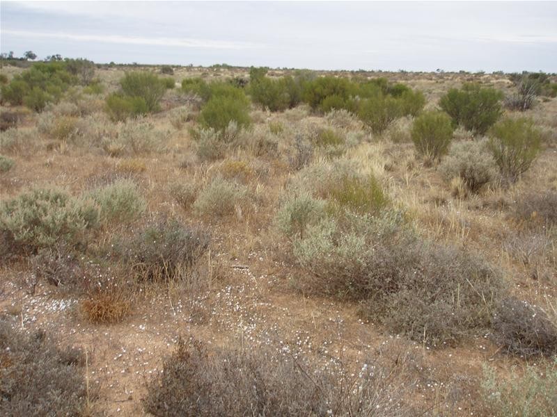 2 Hunter Road, Walker Flat SA 5238