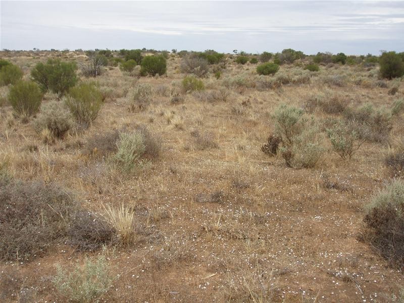 2 Hunter Road, Walker Flat SA 5238