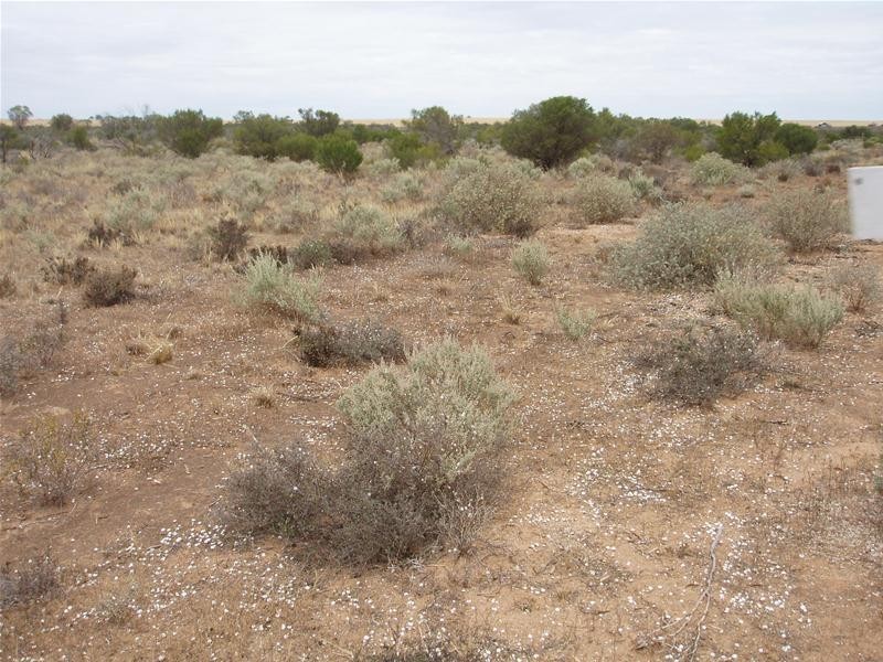 2 Hunter Road, Walker Flat SA 5238