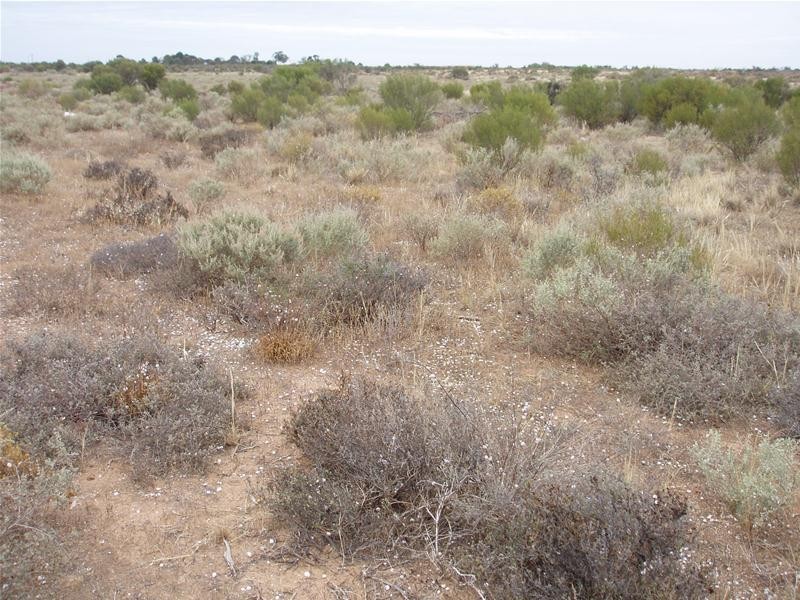 2 Hunter Road, Walker Flat SA 5238