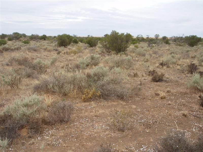 2 Hunter Road, Walker Flat SA 5238