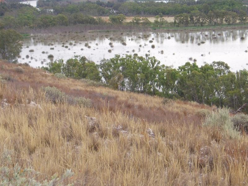 2 Hunter Road, Walker Flat SA 5238