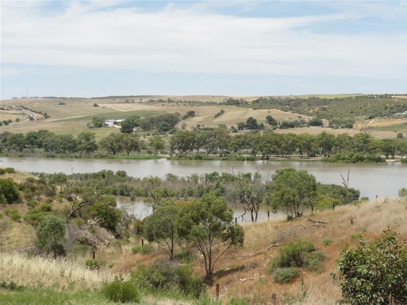 50 Crawford Crescent, Mannum SA 5238