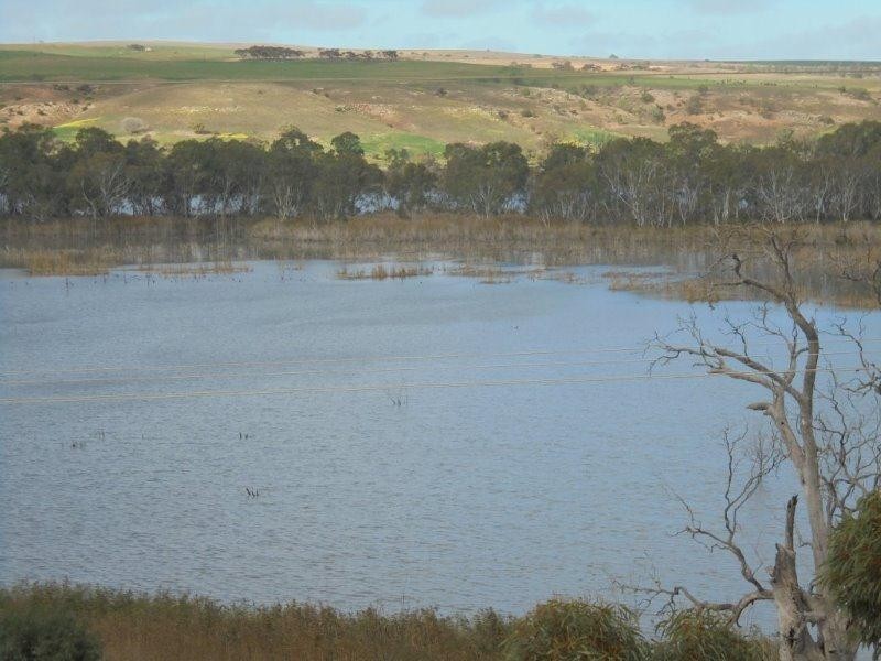 357 Purnong Road, Mannum SA 5238