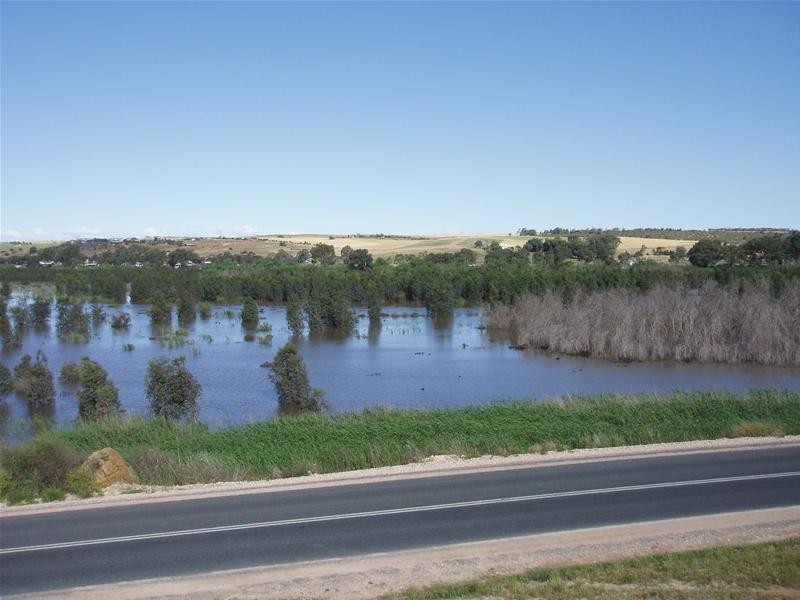 4 Purnong Road, Mannum SA 5238