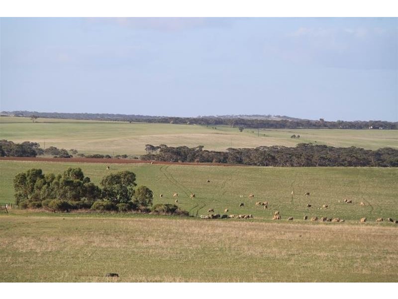 39 Ridley Road, Mannum SA 5238