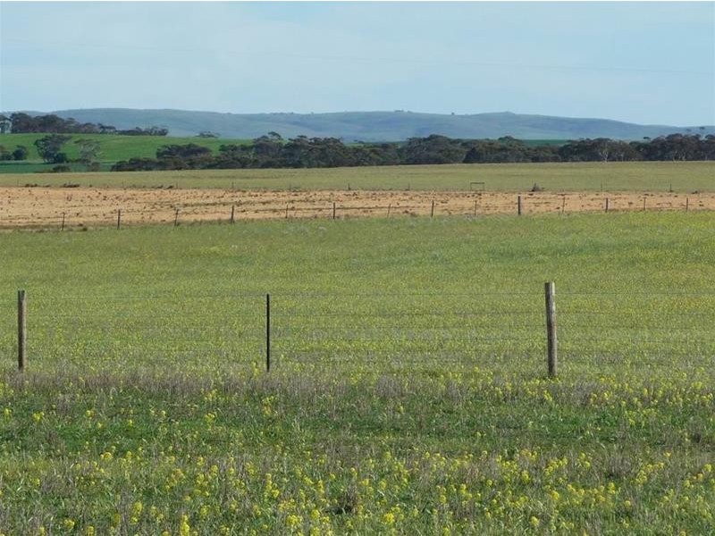 39 Ridley Road, Mannum SA 5238