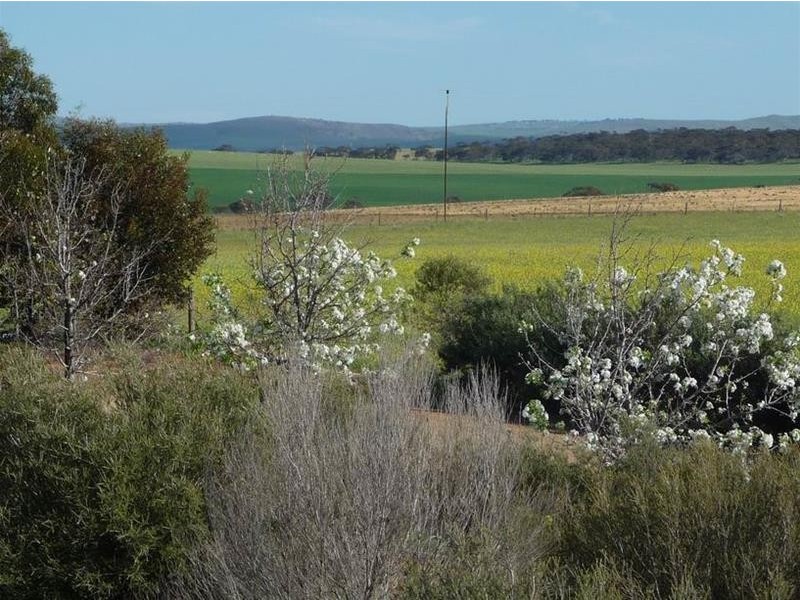 39 Ridley Road, Mannum SA 5238