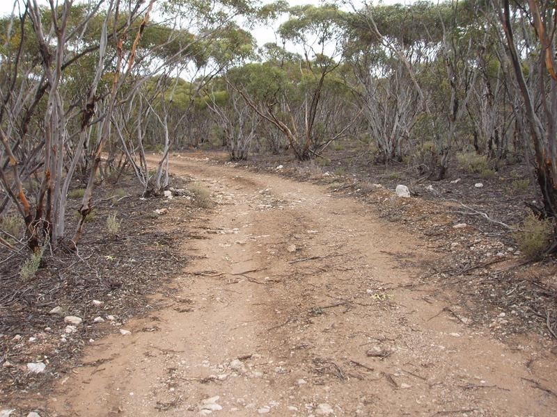 Lot 9 Stott Highway, Sedan SA 5353