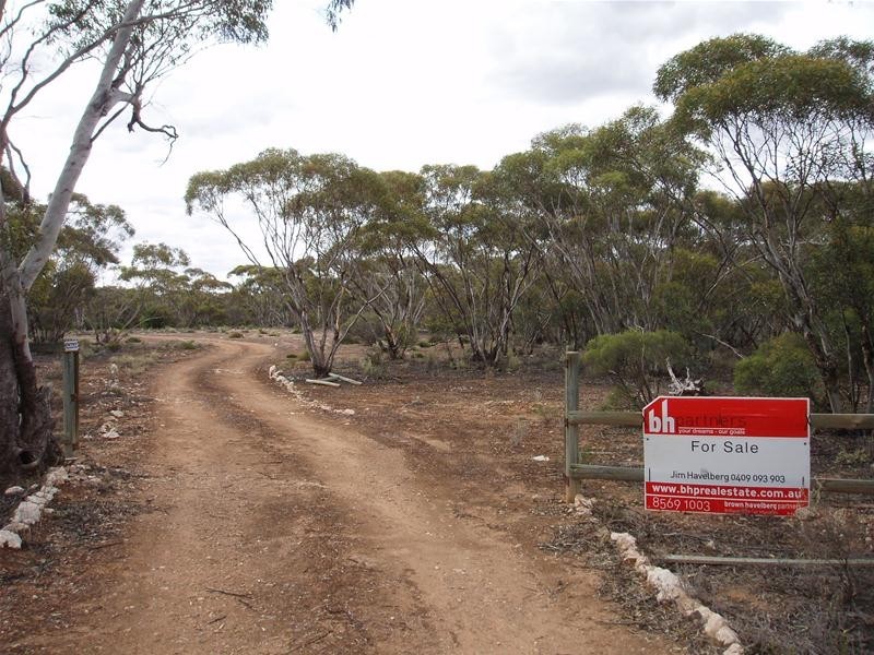 Lot 9 Stott Highway, Sedan SA 5353