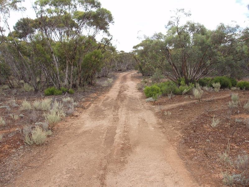 Lot 9 Stott Highway, Sedan SA 5353
