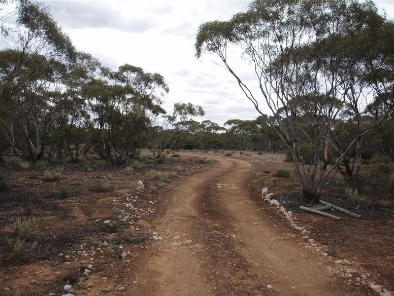 Lot 9 Stott Highway, Sedan SA 5353