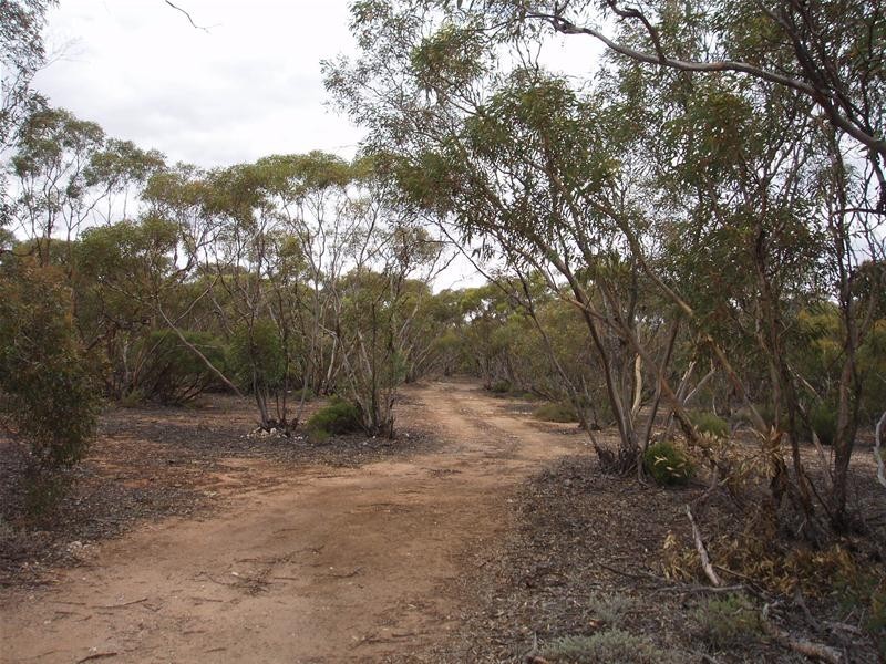 Lot 9 Stott Highway, Sedan SA 5353