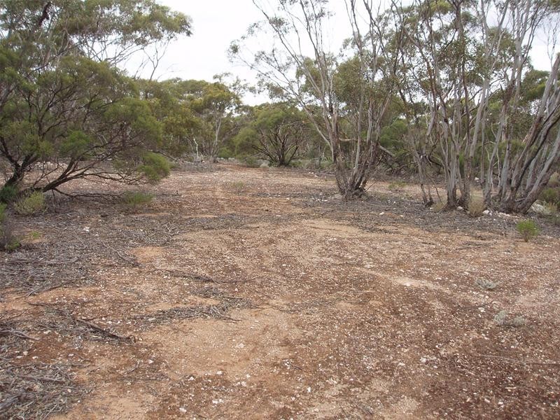 Lot 9 Stott Highway, Sedan SA 5353