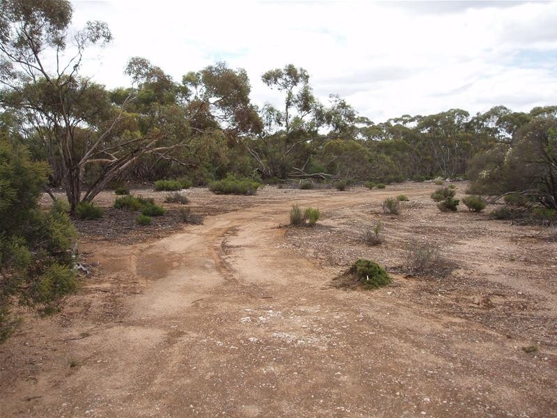 Lot 9 Stott Highway, Sedan SA 5353