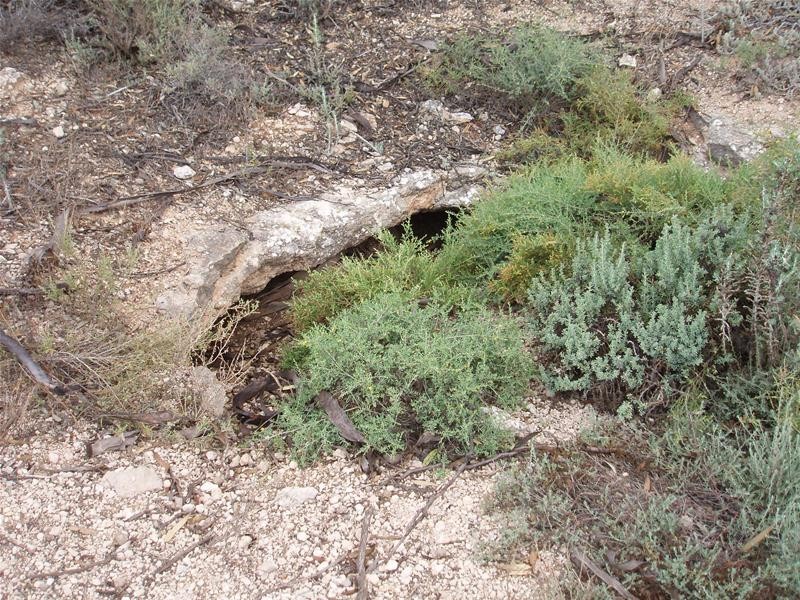 Lot 9 Stott Highway, Sedan SA 5353