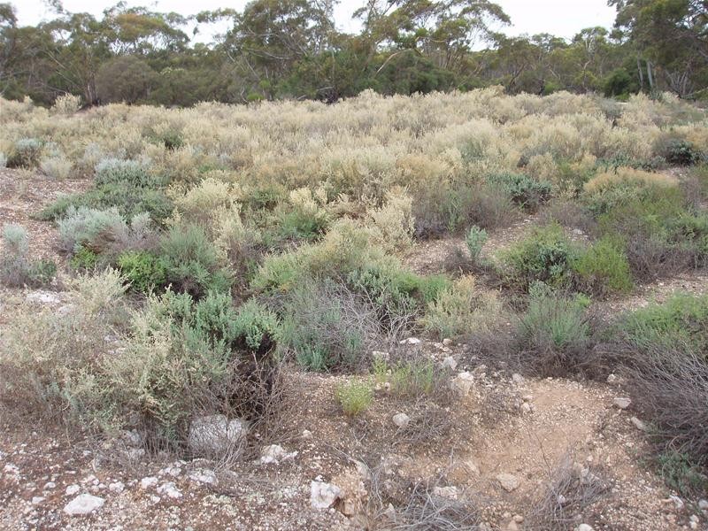 Lot 9 Stott Highway, Sedan SA 5353