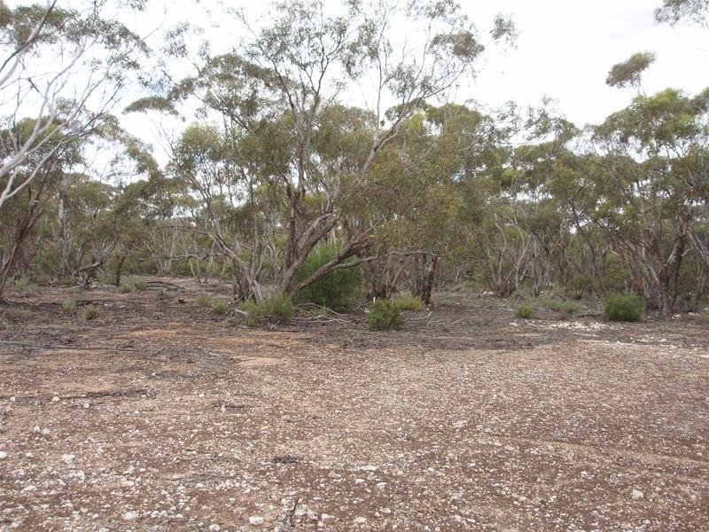 Lot 9 Stott Highway, Sedan SA 5353