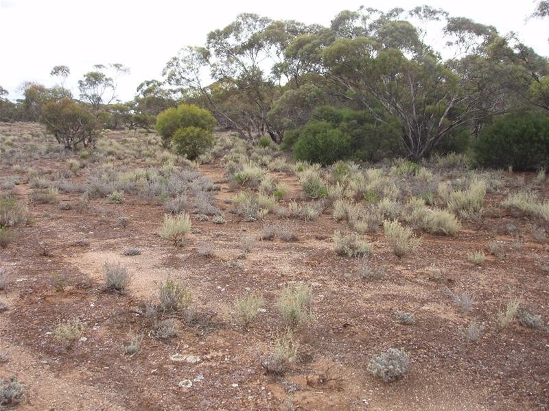 Lot 9 Stott Highway, Sedan SA 5353