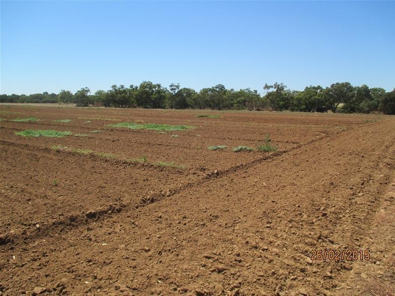Penfield Gardens SA 5121