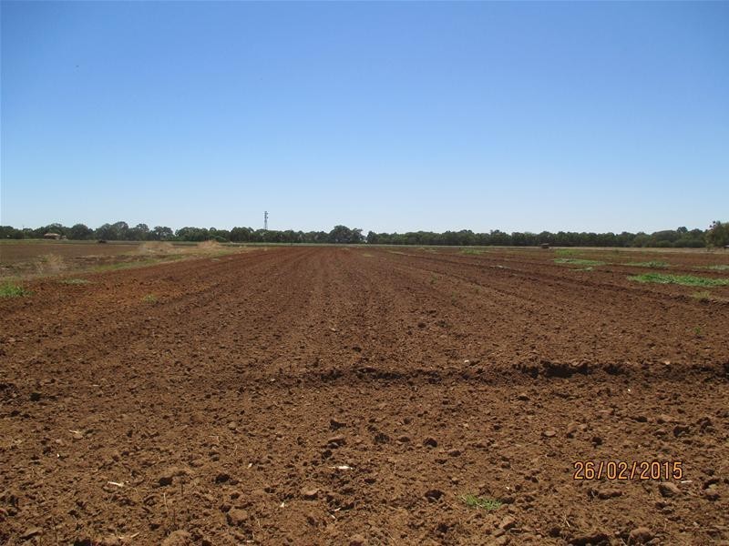 Penfield Gardens SA 5121